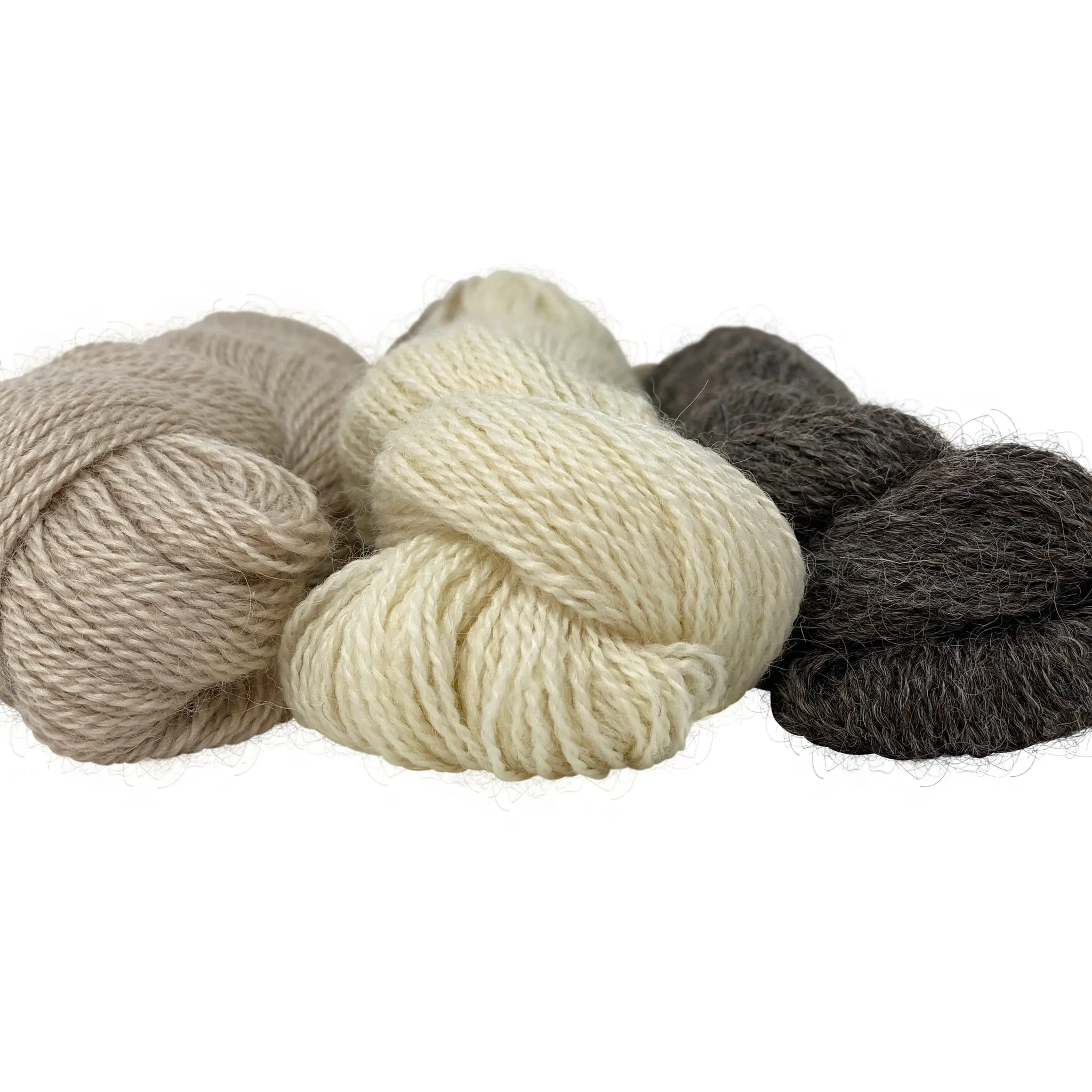 4ply (Fingering/Sports Weight):  Rare Breed Wensleydale and Bluefaced Leicester Natural - Undyed