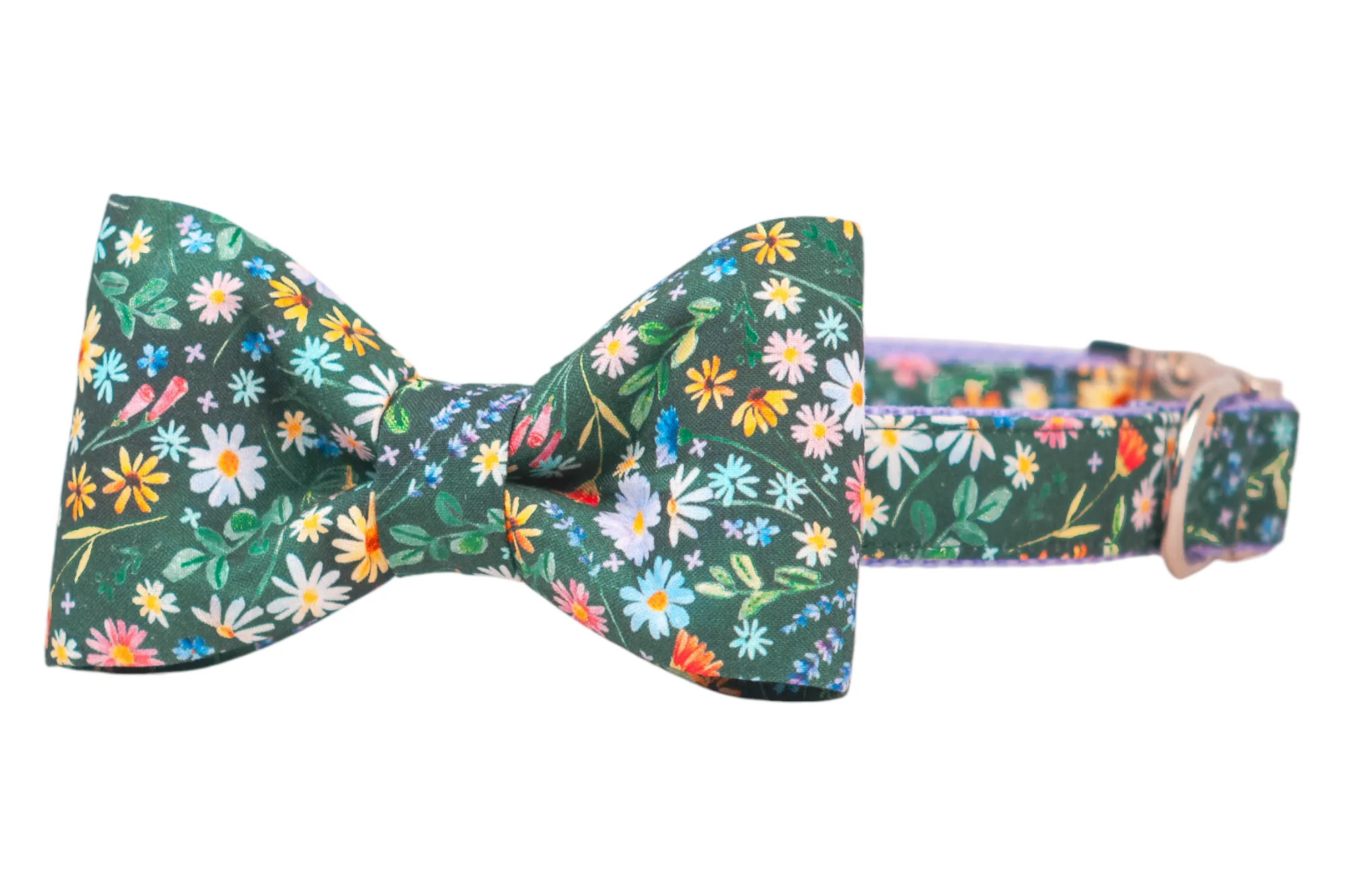 Bloom Time Bow Tie Dog Collar