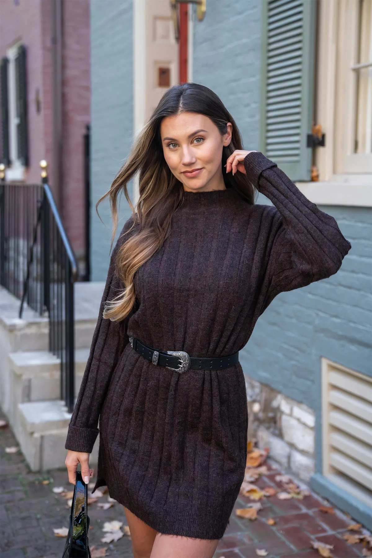 Brown Mock Neck Sweater Dress