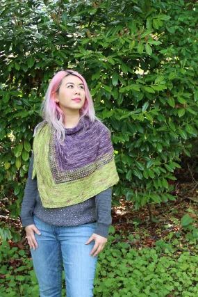 Butterfly Wings Shawl Kit