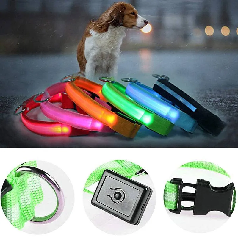 LED Glowing Dog Collar Luminous & Adjustable Makes Your Dog Visible Safe