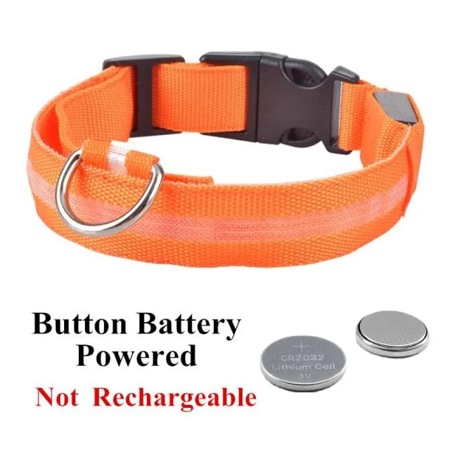 LED Glowing Dog Collar Luminous & Adjustable Makes Your Dog Visible Safe