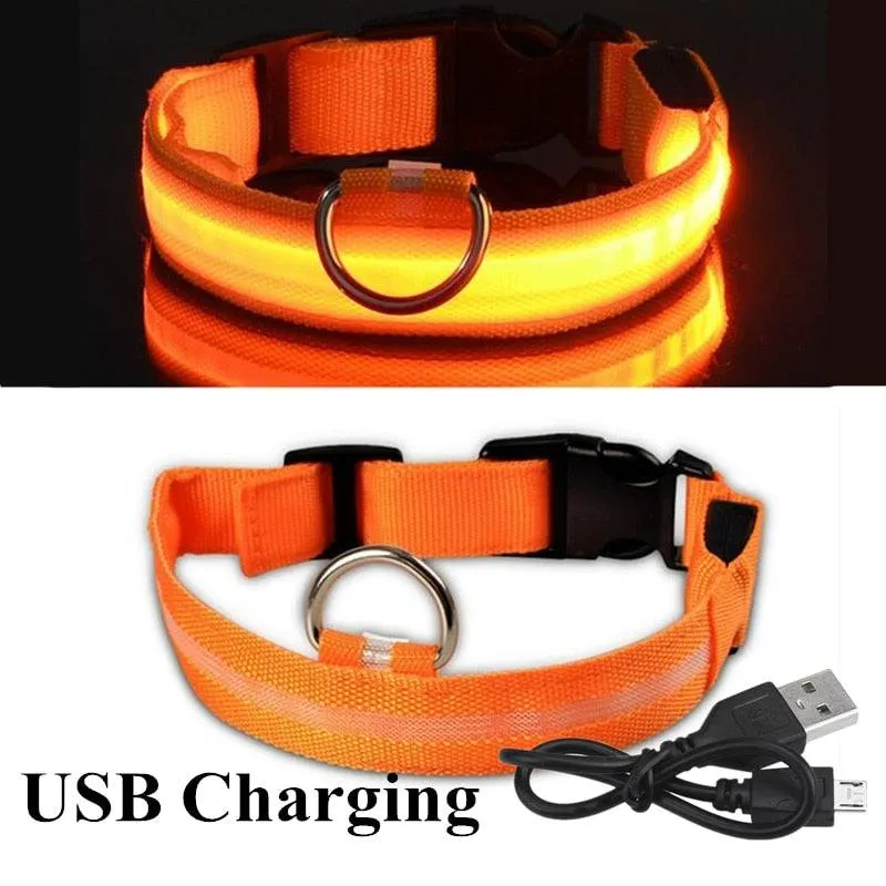 LED Glowing Dog Collar Luminous & Adjustable Makes Your Dog Visible Safe