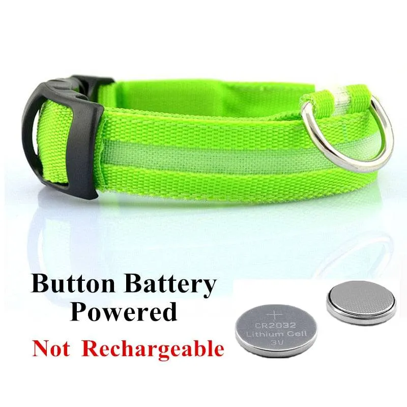 LED Glowing Dog Collar Luminous & Adjustable Makes Your Dog Visible Safe