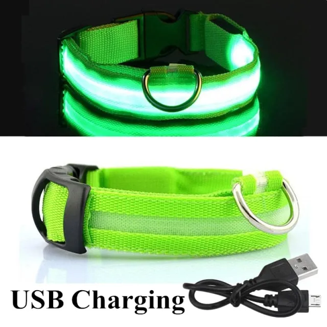 LED Glowing Dog Collar Luminous & Adjustable Makes Your Dog Visible Safe