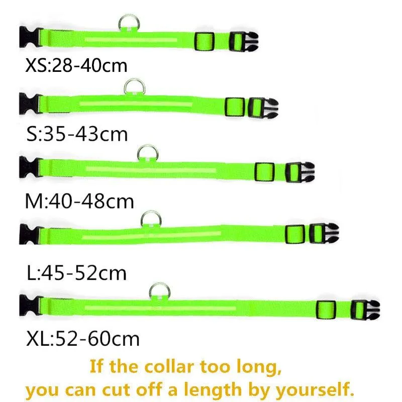 LED Glowing Dog Collar Luminous & Adjustable Makes Your Dog Visible Safe