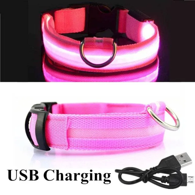 LED Glowing Dog Collar Luminous & Adjustable Makes Your Dog Visible Safe