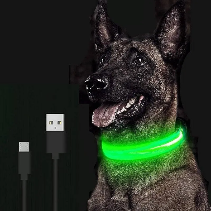 LED Glowing Dog Collar Luminous & Adjustable Makes Your Dog Visible Safe