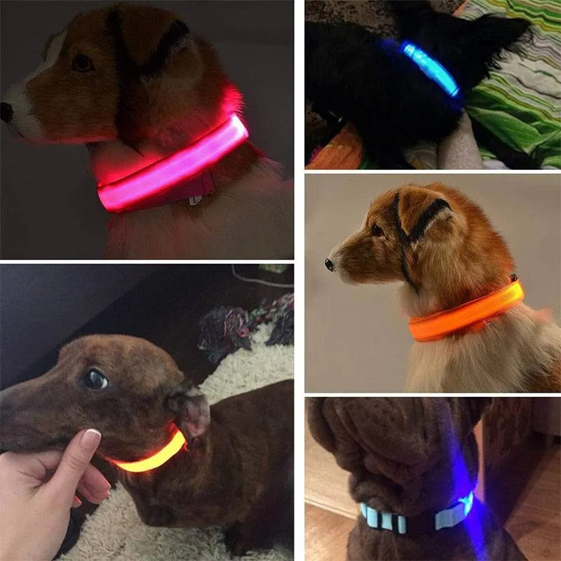 LED Glowing Dog Collar Luminous & Adjustable Makes Your Dog Visible Safe