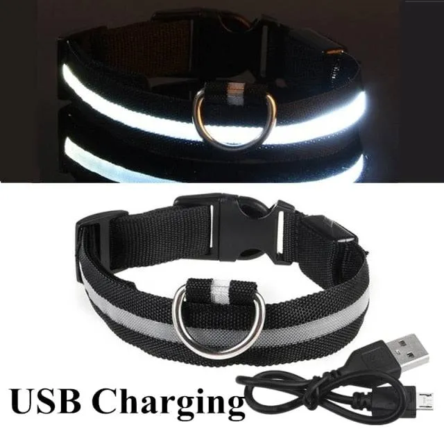 LED Glowing Dog Collar Luminous & Adjustable Makes Your Dog Visible Safe