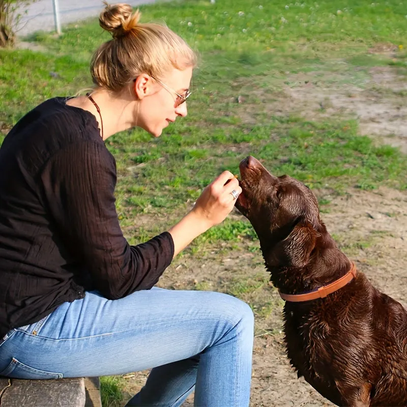 Pawsome Calming Collar Soothes Anxiety  Stress for Pets