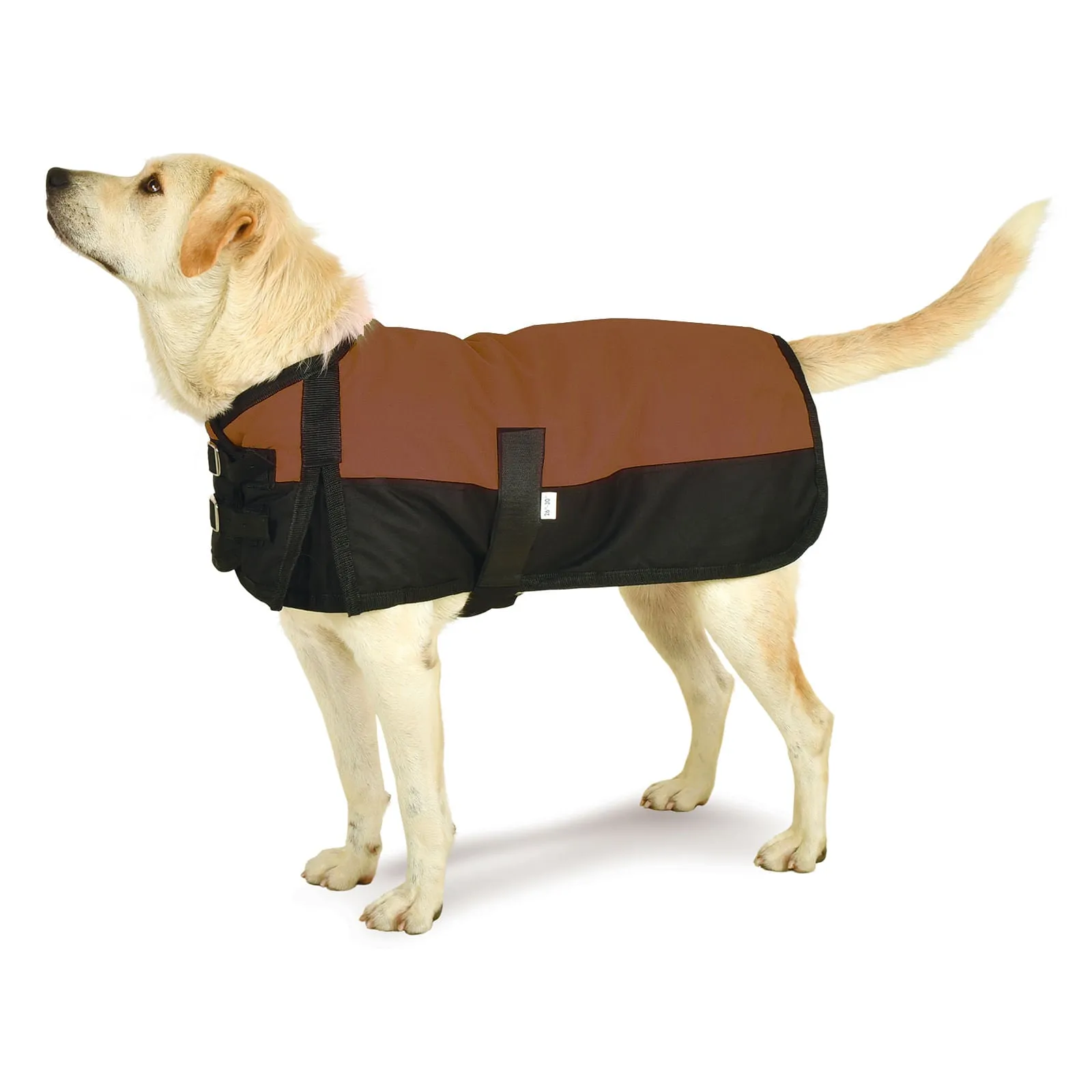 Premium Winter Dog Coat by Jeffers