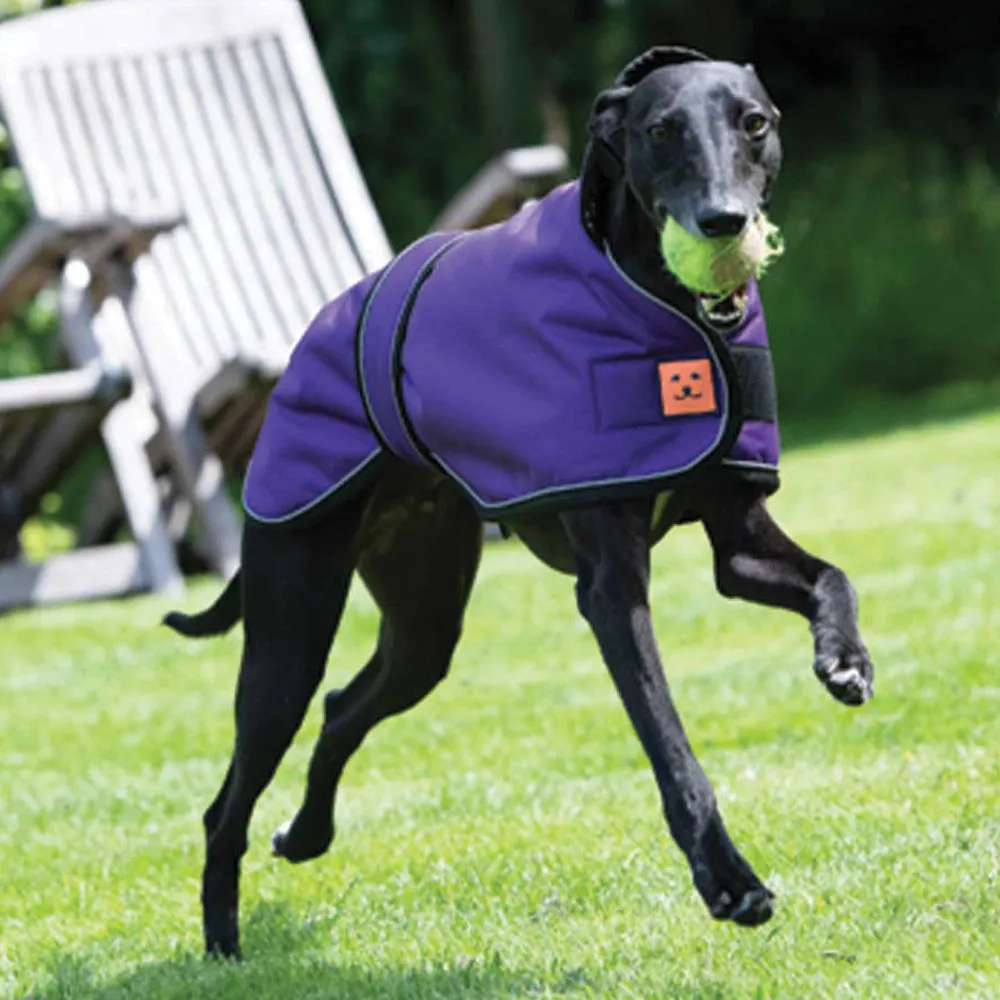 Waterproof Shower Greyhound Dog Coat with Warm Lining