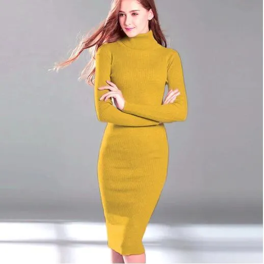 Wjczt New Autumn Winter Women Knitted Dress Turtleneck Sweater Dresses Lady Slim Bodycon Long Sleeve Bottoming Dress Vestidos PP003