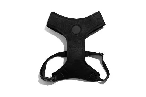 Zee.Dog Air Mesh Dog Harness (Gotham)